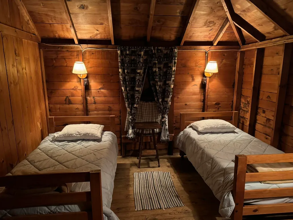 Two twin beds with pillows in a cabin with wooden walls and a rug.